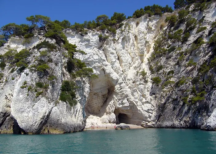 Hotel Adria 3* 로디가르가니코